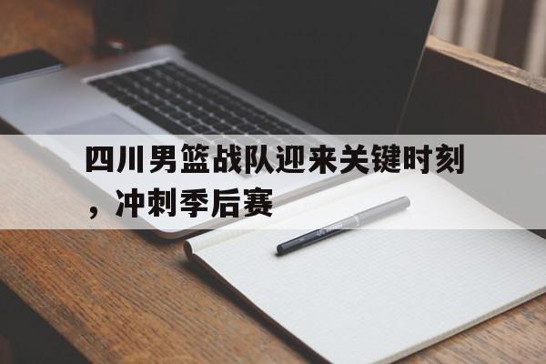 四川男篮战队迎来关键时刻,冲刺季后赛的简单介绍